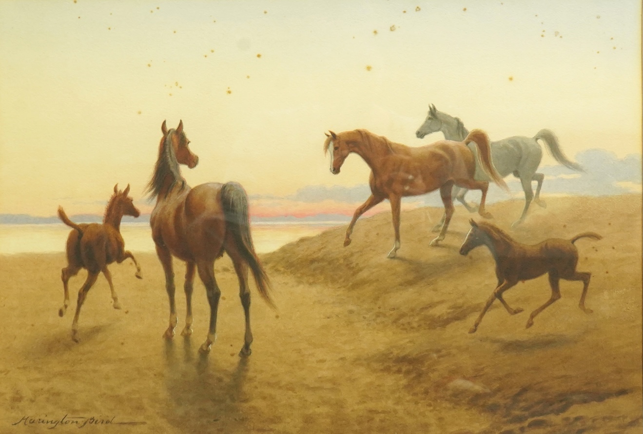 John Alexander Harrington Bird (English, 1846-1936), Arabian horses and foals in a coastal landscape, watercolour, 34 x 49cm